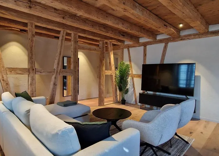 Visionary Hospitality Bassersdorf, Zuerich - Premium Apartments In Swiss Style With Free Parking, Washer, Kitchen, Terrace, Vaulted Cellar Event Room, 15\' City & Airport