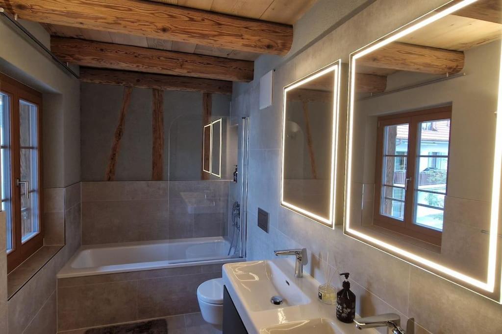 Apartment Visionary Hospitality Bassersdorf, Zuerich - Premium In Swiss Style With Free Parking, Washer, Kitchen, Terrace, Vaulted Cellar Event Room, 15' & Airport