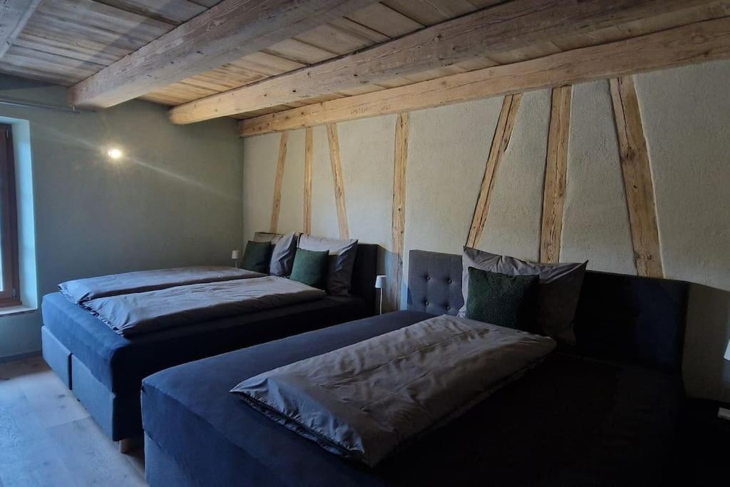 Visionary Hospitality Bassersdorf, Zuerich - Premium In Swiss Style With Free Parking, Washer, Kitchen, Terrace, Vaulted Cellar Event Room, 15' & Airport Apartment *