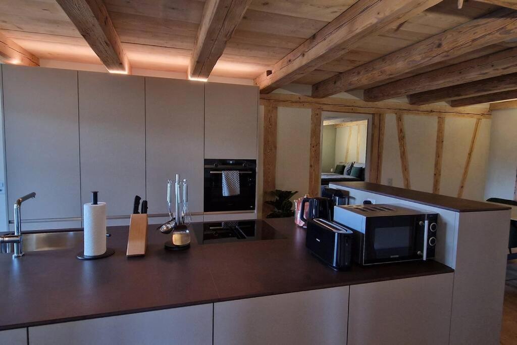 Visionary Hospitality Bassersdorf, Zuerich - Premium In Swiss Style With Free Parking, Washer, Kitchen, Terrace, Vaulted Cellar Event Room, 15' & Airport *