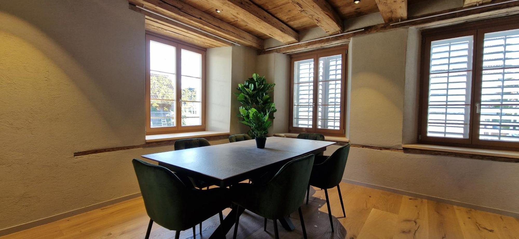 Apartment Visionary Hospitality Bassersdorf, Zuerich - Premium In Swiss Style With Free Parking, Washer, Kitchen, Terrace, Vaulted Cellar Event Room, 15' & Airport Bassersdorf
