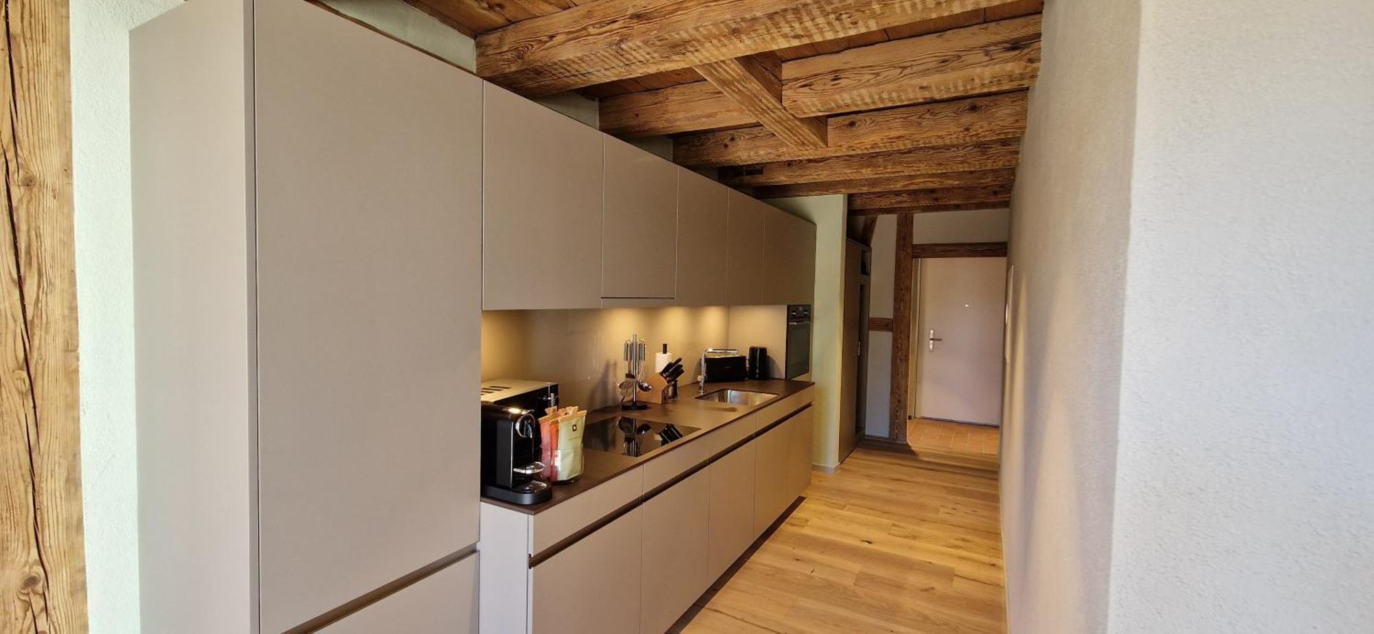 Visionary Hospitality Bassersdorf, Zuerich - Premium In Swiss Style With Free Parking, Washer, Kitchen, Terrace, Vaulted Cellar Event Room, 15' & Airport