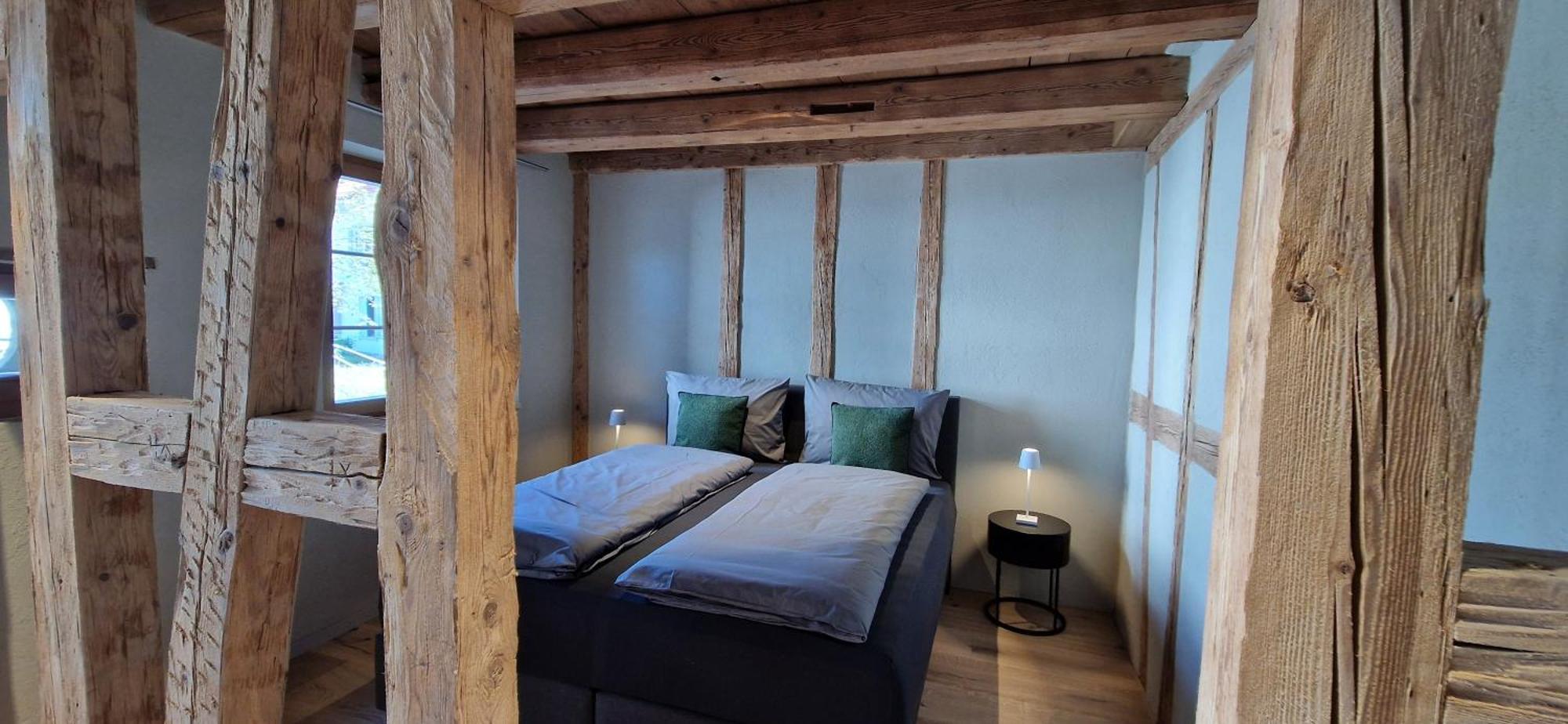 Visionary Hospitality Bassersdorf, Zuerich - Premium In Swiss Style With Free Parking, Washer, Kitchen, Terrace, Vaulted Cellar Event Room, 15' & Airport