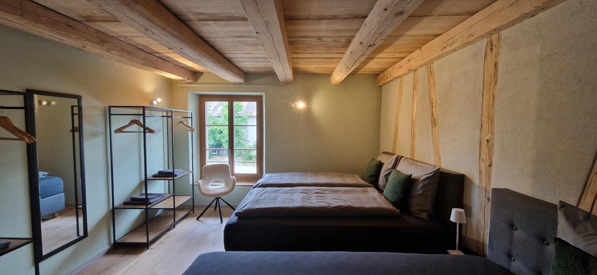 Visionary Hospitality Bassersdorf, Zuerich - Premium In Swiss Style With Free Parking, Washer, Kitchen, Terrace, Vaulted Cellar Event Room, 15' & Airport Apartment Bassersdorf