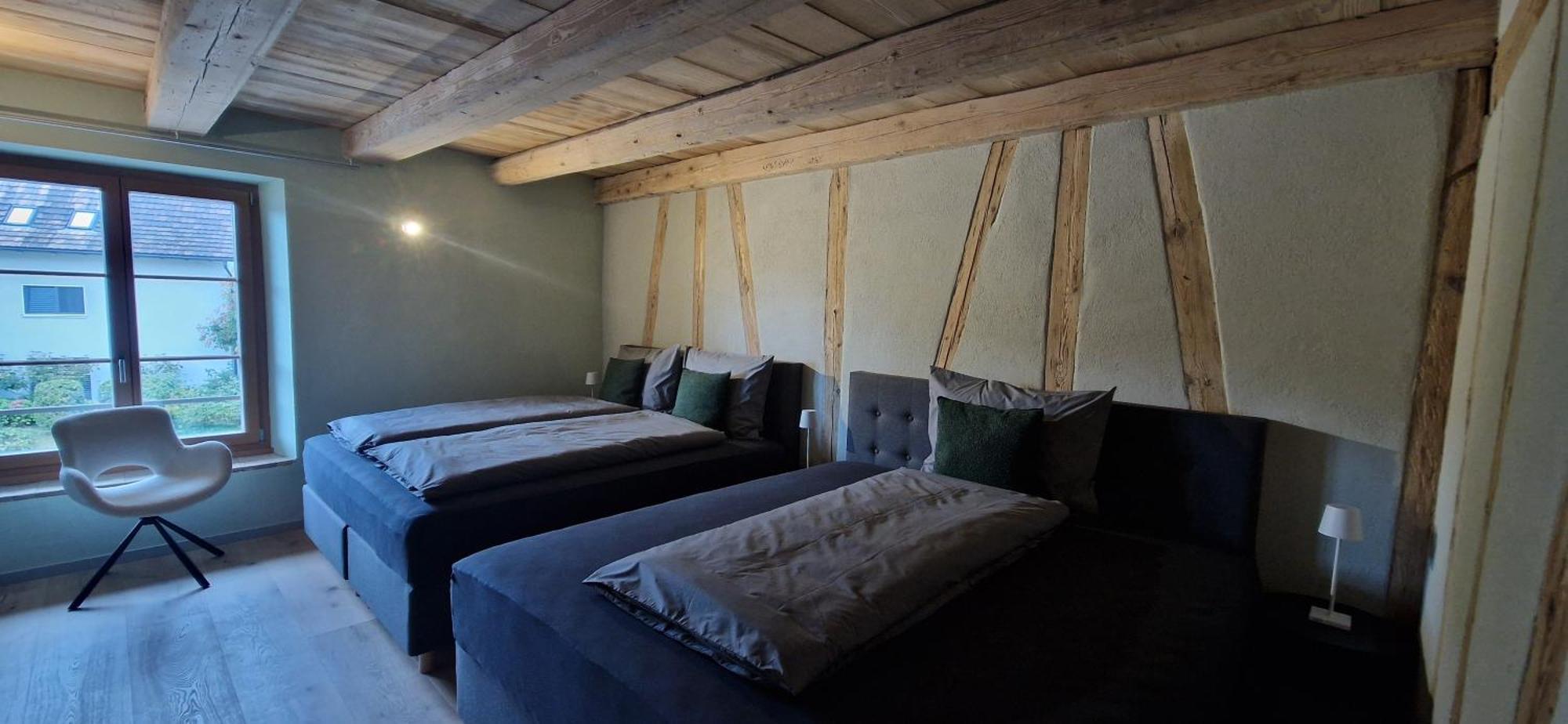 Visionary Hospitality Bassersdorf, Zuerich - Premium In Swiss Style With Free Parking, Washer, Kitchen, Terrace, Vaulted Cellar Event Room, 15' & Airport Bassersdorf