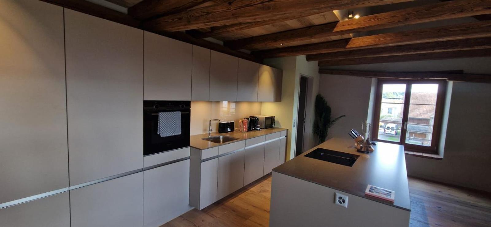 Visionary Hospitality Bassersdorf, Zuerich - Premium In Swiss Style With Free Parking, Washer, Kitchen, Terrace, Vaulted Cellar Event Room, 15' & Airport Bassersdorf