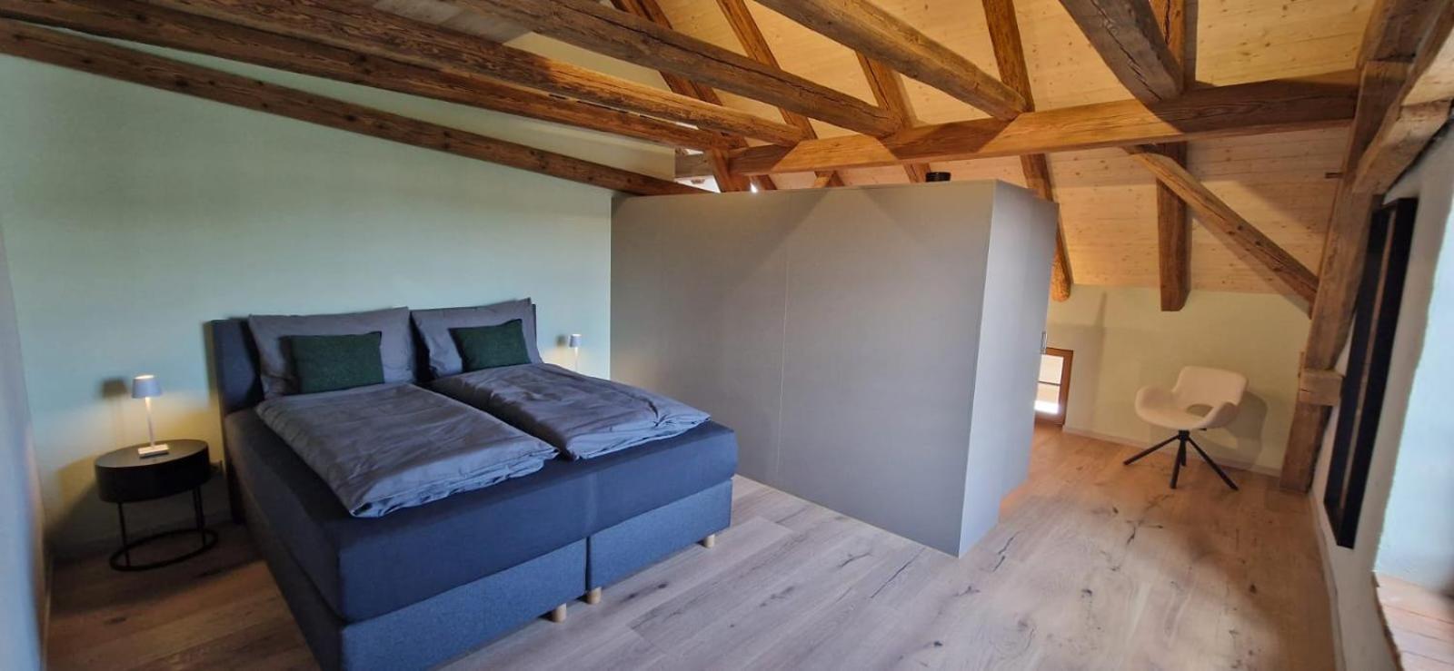 Visionary Hospitality Bassersdorf, Zuerich - Premium In Swiss Style With Free Parking, Washer, Kitchen, Terrace, Vaulted Cellar Event Room, 15' & Airport Apartment