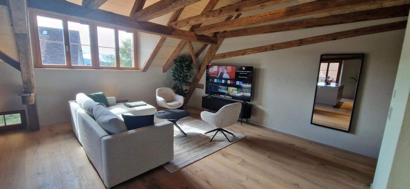 Visionary Hospitality Bassersdorf, Zuerich - Premium In Swiss Style With Free Parking, Washer, Kitchen, Terrace, Vaulted Cellar Event Room, 15' & Airport