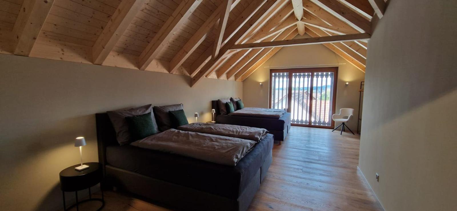 Visionary Hospitality Bassersdorf, Zuerich - Premium In Swiss Style With Free Parking, Washer, Kitchen, Terrace, Vaulted Cellar Event Room, 15' & Airport Apartment