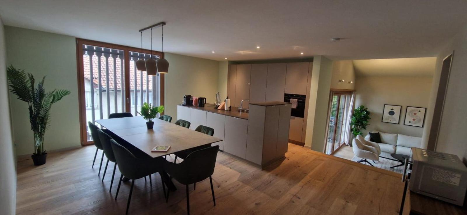 Visionary Hospitality Bassersdorf, Zuerich - Premium In Swiss Style With Free Parking, Washer, Kitchen, Terrace, Vaulted Cellar Event Room, 15' & Airport *