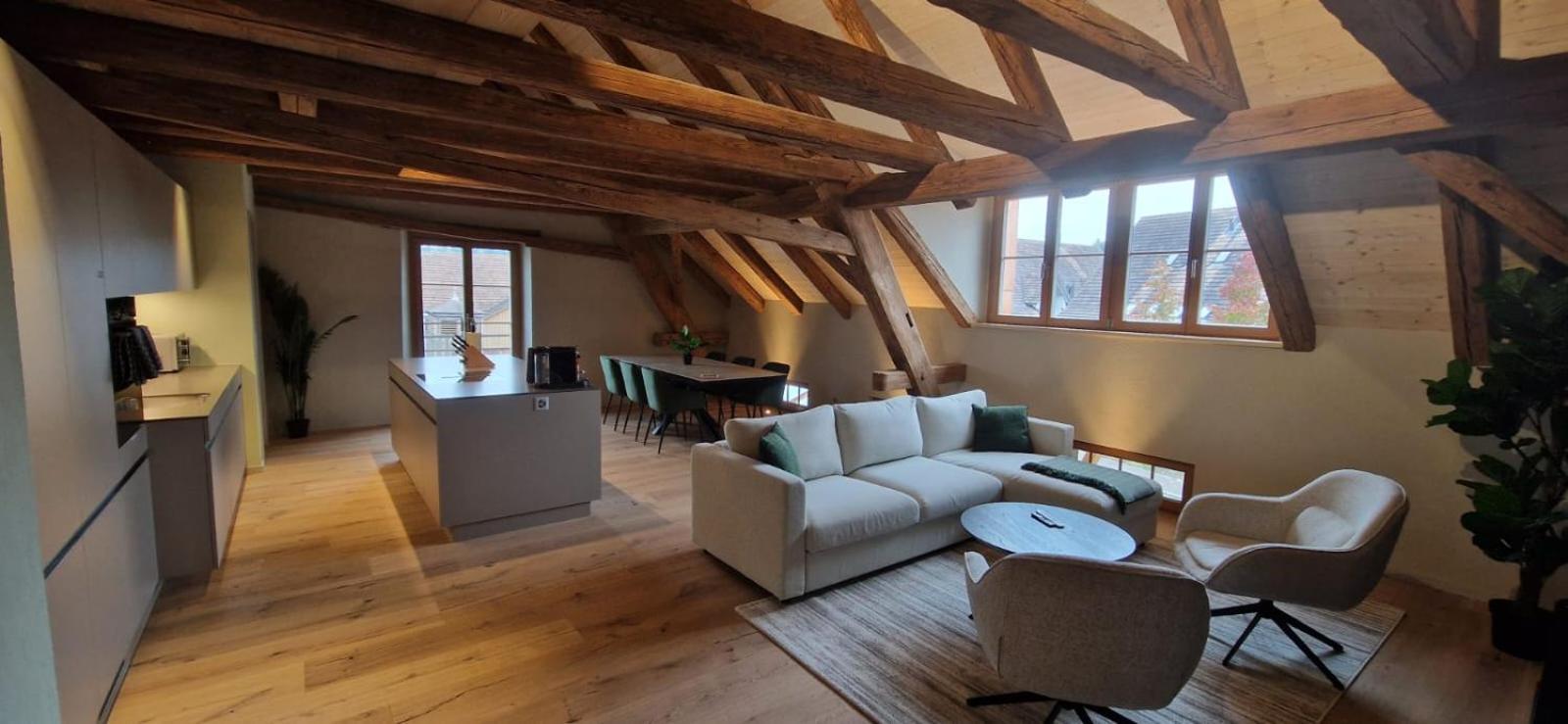Visionary Hospitality Bassersdorf, Zuerich - Premium In Swiss Style With Free Parking, Washer, Kitchen, Terrace, Vaulted Cellar Event Room, 15' & Airport Apartment