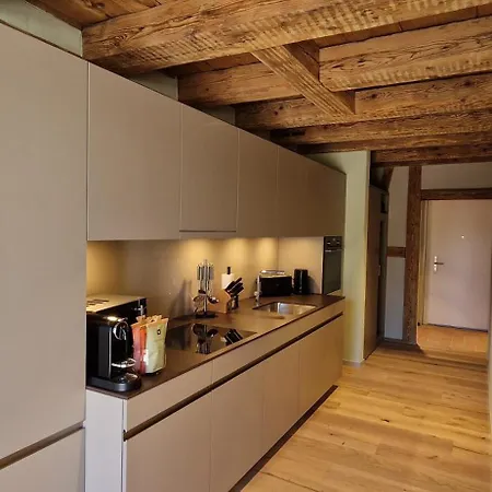 Visionary Hospitality Bassersdorf, Zuerich - Premium Apartments In Swiss Style With Free Parking, Washer, Kitchen, Terrace, Vaulted Cellar Event Room, 15' City & Airport Exterior foto