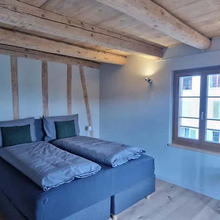 Visionary Hospitality Bassersdorf, Zuerich - Premium Apartments In Swiss Style With Free Parking, Washer, Kitchen, Terrace, Vaulted Cellar Event Room, 15' City & Airport Exterior foto