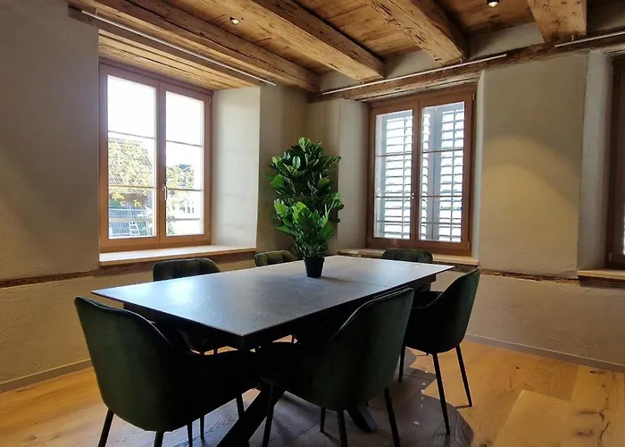 Visionary Hospitality Bassersdorf, Zuerich - Premium Apartments In Swiss Style With Free Parking, Washer, Kitchen, Terrace, Vaulted Cellar Event Room, 15\' City & Airport