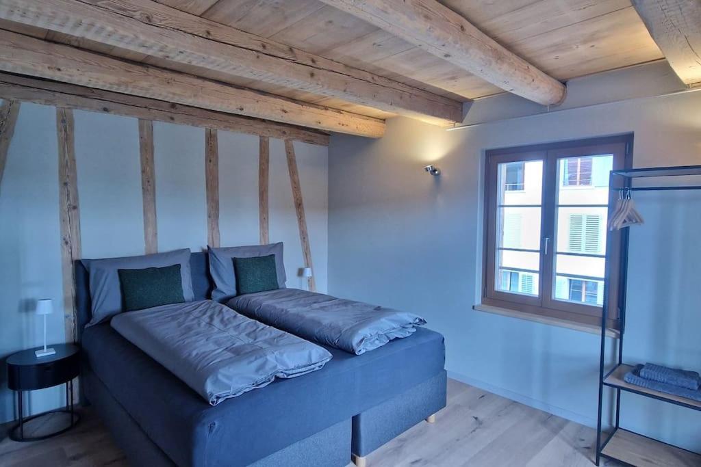 Visionary Hospitality Bassersdorf, Zuerich - Premium In Swiss Style With Free Parking, Washer, Kitchen, Terrace, Vaulted Cellar Event Room, 15' & Airport Appartamento
