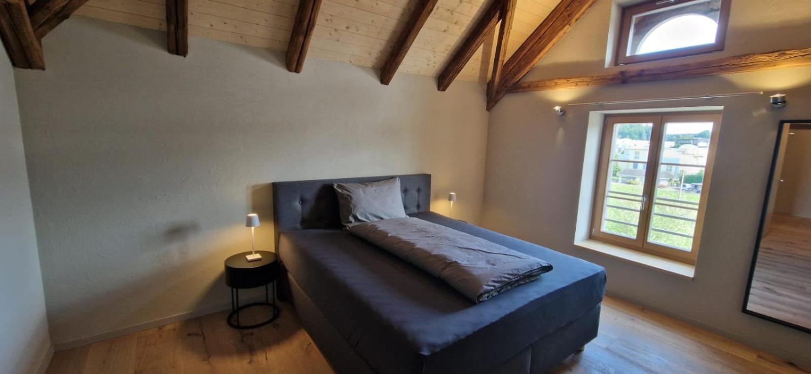 Visionary Hospitality Bassersdorf, Zuerich - Premium In Swiss Style With Free Parking, Washer, Kitchen, Terrace, Vaulted Cellar Event Room, 15' & Airport Appartamento Bassersdorf