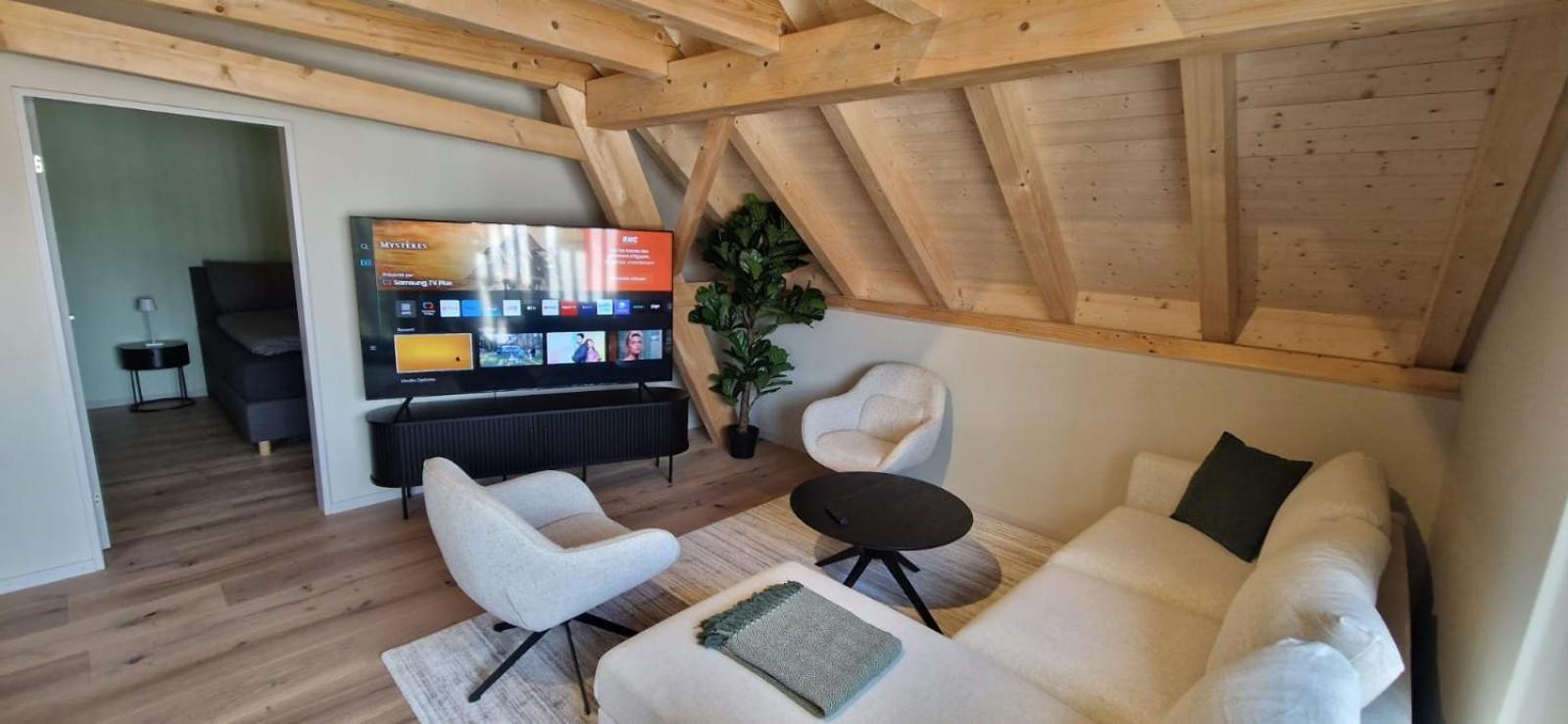 Visionary Hospitality Bassersdorf, Zuerich - Premium In Swiss Style With Free Parking, Washer, Kitchen, Terrace, Vaulted Cellar Event Room, 15' & Airport *